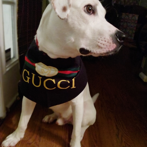 Dog bandanas 🐕 multiple styles - Picture 6 of 6